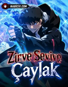 Zirve Seviye Çaylak