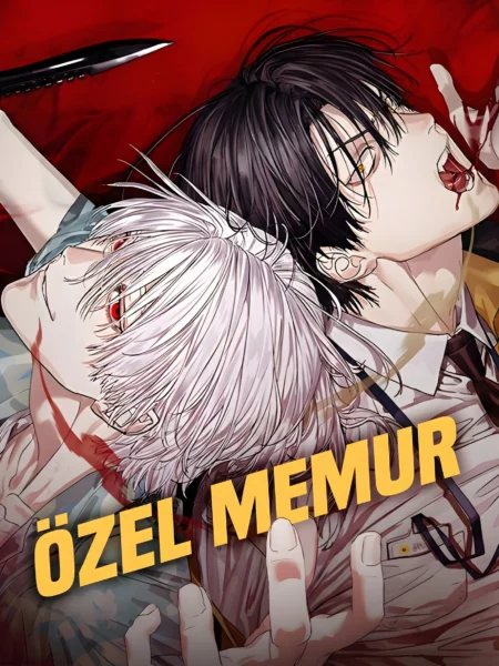 Özel Memur